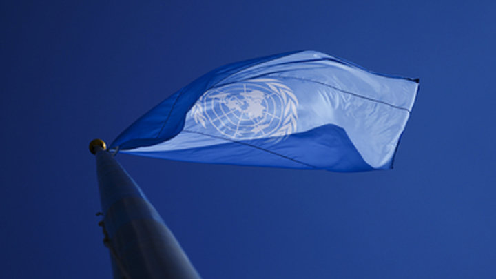 Эксперт: России нужно создать альтернативу Совбезу ООН