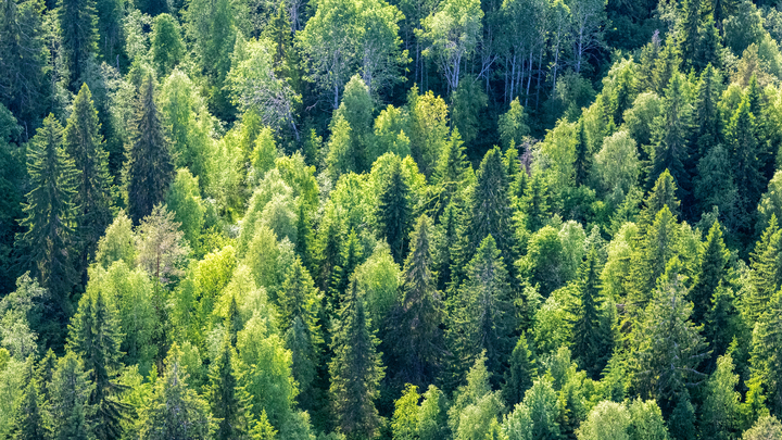 Оставил записку в избе: В Красноярском крае раненый охотник ждал помощи 20 дней