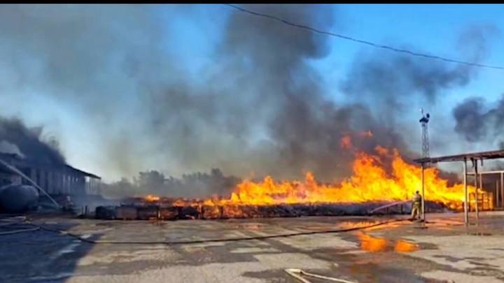 В Крыму ликвидировали пожар на овощехранилище. Площадь возгорания составила почти 2 тыс. кв. метров