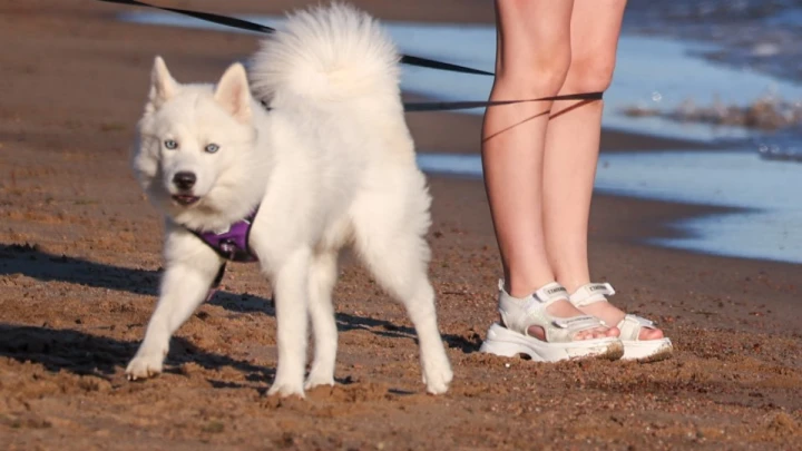 Русских ждут новые длинные выходные в июне – Депутат Госдумы
