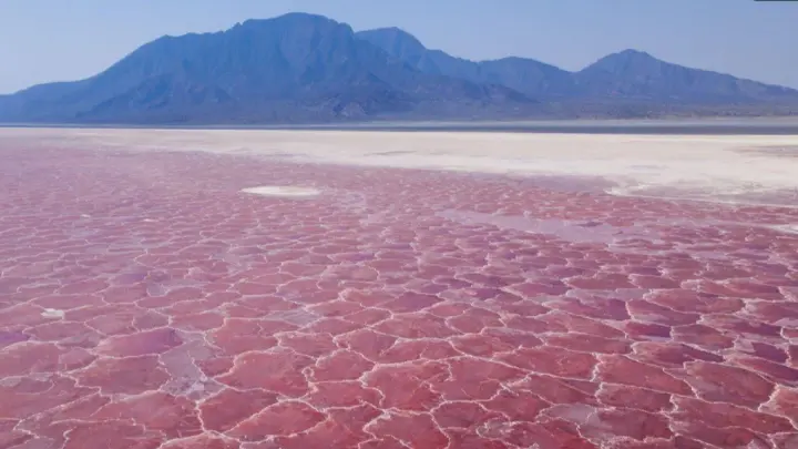 Путешественник из России рассказал правду о кислотном озере Натрон в Танзании