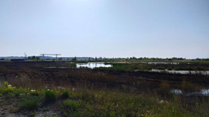 В Новосибирской области загорелась трава из-за замыкания на ЛЭП