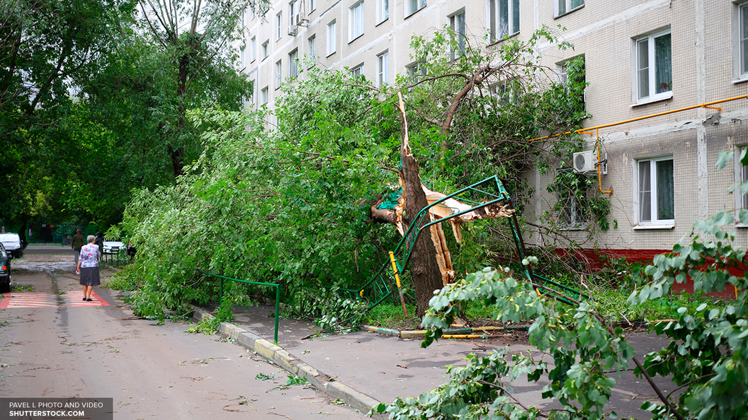 В пятницу в Москве сохраняется ураганная погода В пятницу в Москве сохраняется ураганная погода