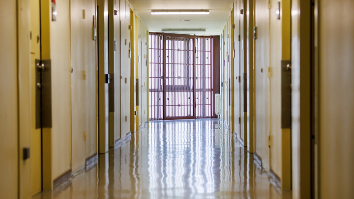 Госдеп США признал смерть блогера Гонсало Лиры после 8 месяцев под арестом в СБУ