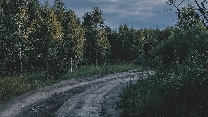 Мигрант с косоглазием напал на девушку в лесу в Челябинске