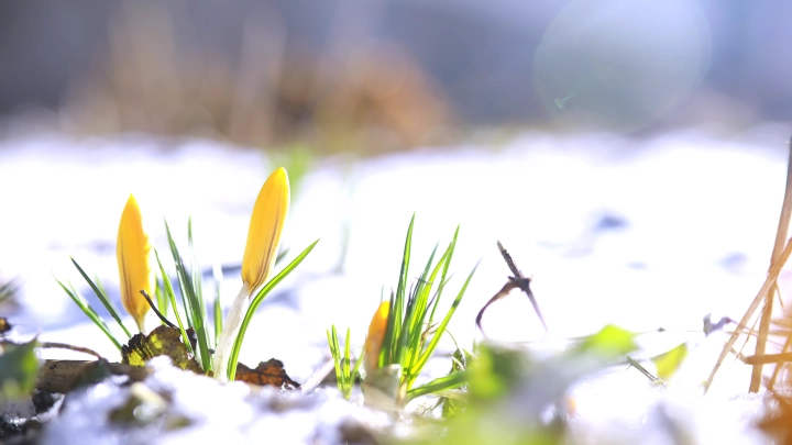 Скачки от +10 до -15: в Гидрометцентре рассказали об аномальной погоде в России
