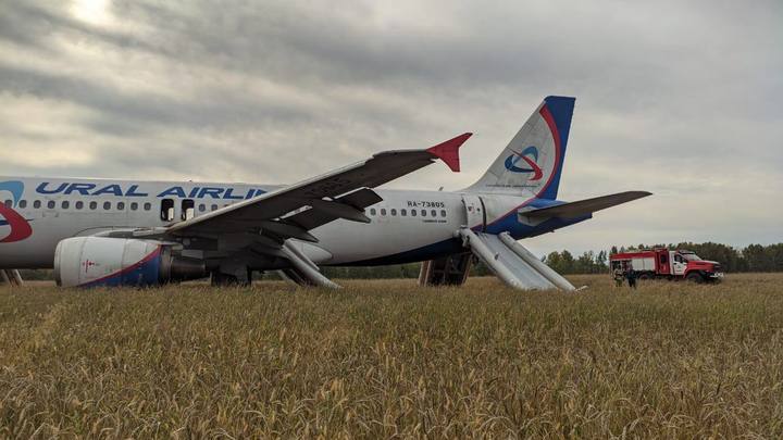 Все мы кино смотрим: пассажиры Airbus A320 поделились эмоциями после посадки в пшеничном поле