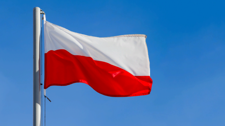 Польша объявила войну украинскому зерну: Начато масштабное расследование