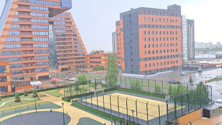 Первый инновационный научный центр в СФО может появиться в Новосибирске