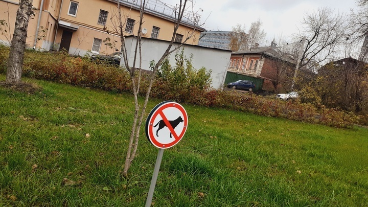 В Саратовской области напавших на людей собак навсегда изолируют