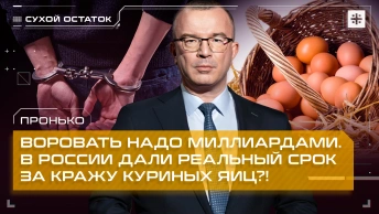 Пронько: Воровать надо миллиардами. В России дали реальный срок за кражу куриных яиц?!