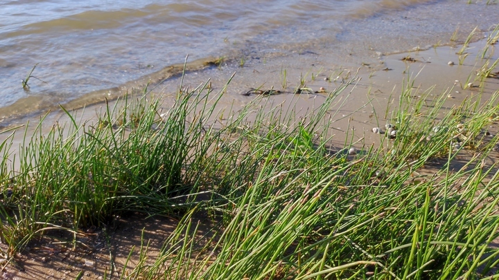 Новости Ростова-на-Дону 3 октября: спустя пять лет инвалиду удалось получить от чиновников жилье