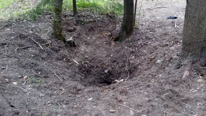 В Петербурге подросткам, которые забили подругу молотком, готовят новые обвинения