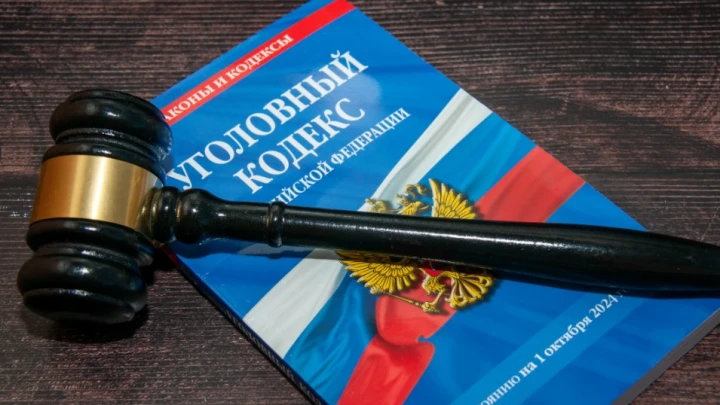 Изображал стебель: Красноярец схлопотал штраф за нацистское приветствие