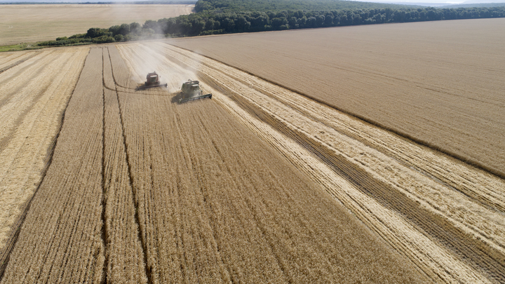 Запорожская область планирует урожай в 2 млн тонн