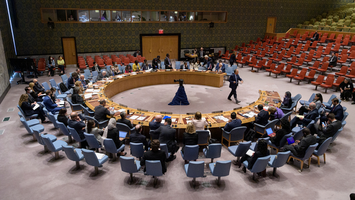 В Совбезе ООН не приняли проект резолюции России по гумпомощи Сирии