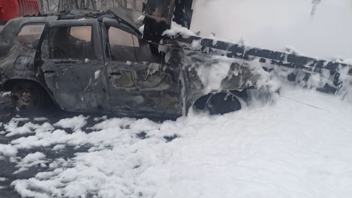 Главные новости в Нижегородской области 12 ноября