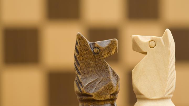 США готовят троянского коня, мечтая завершить СВО? Стариков призвал читать между строк