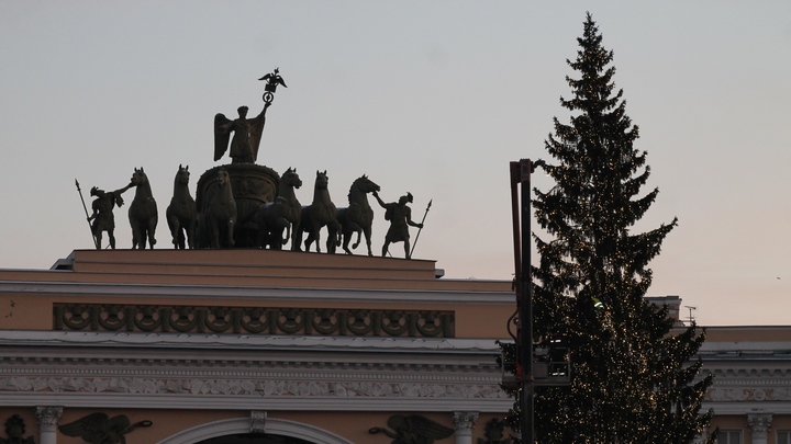 Стало известно, когда на Дворцовой площади появится новогодняя ёлка