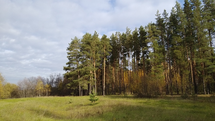 В Одинцово появится новый заказник
