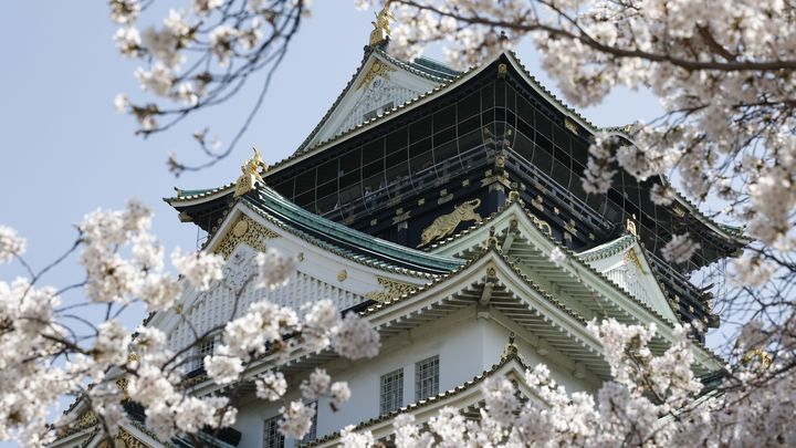 Каков отец, таков и сын - что японцы лучше других поняли в христианстве