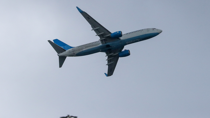 Украинский депутат Арахамия призвал Грузию прекратить авиасообщение с Россией