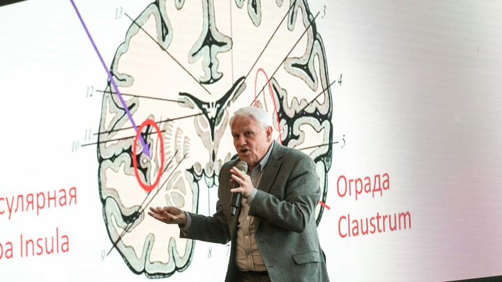 Ученые: часть мозга может спать, пока другая бодрствует
