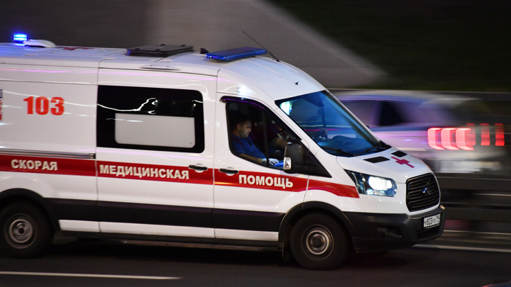 Правоохранители начали проверку из-за нападения собаки на женщину в Тольятти