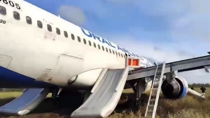 Севший в пшеничном поле самолёт Сочи — Омск разберут на запчасти