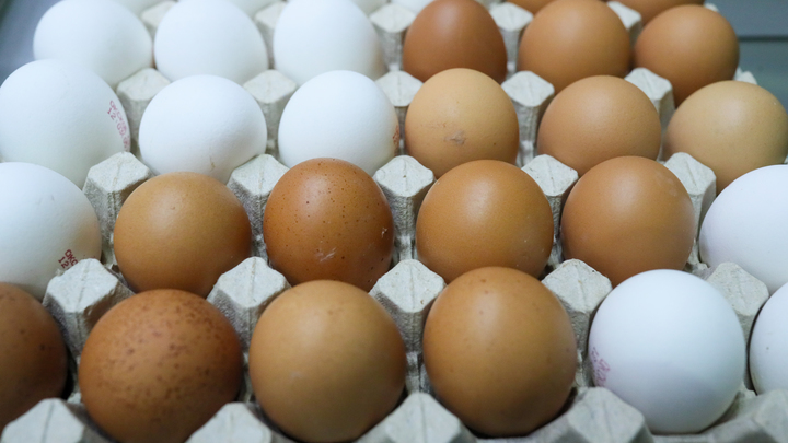 Яйца позора. Почему цены растут и падать не будут? Чиновникам пора сказать правду