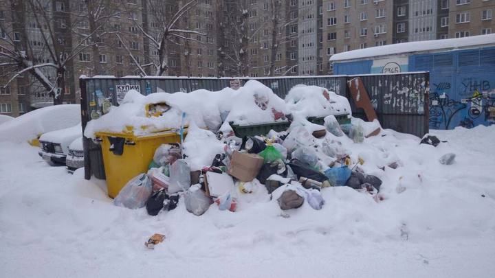 В Челябинске открыли горячую линию по мусору
