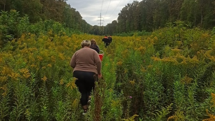 В Белореченском районе две женщины заблудились во время сбора грибов