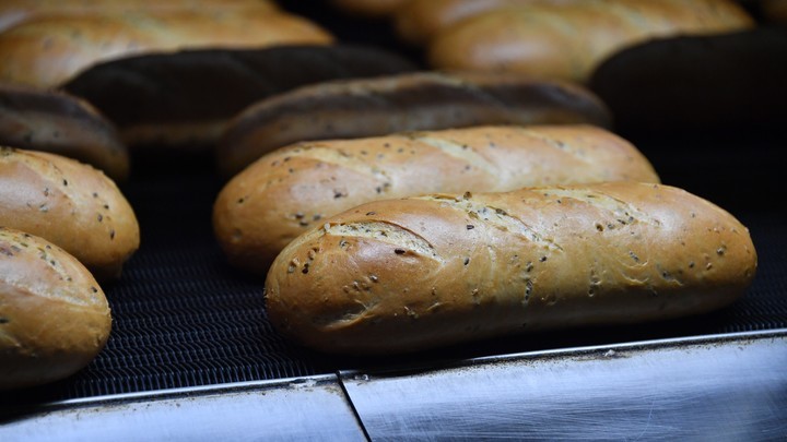 Запад будет есть личинок, а мы - хлеб: Дугин объяснил необходимость новой экономической теории