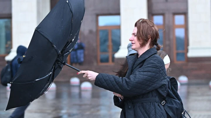 Вырвал деревья в корнем и повалил светофор: В Петербурге после сильной жары прошёл ливень с градом. И это еще не все сюрпризы природы