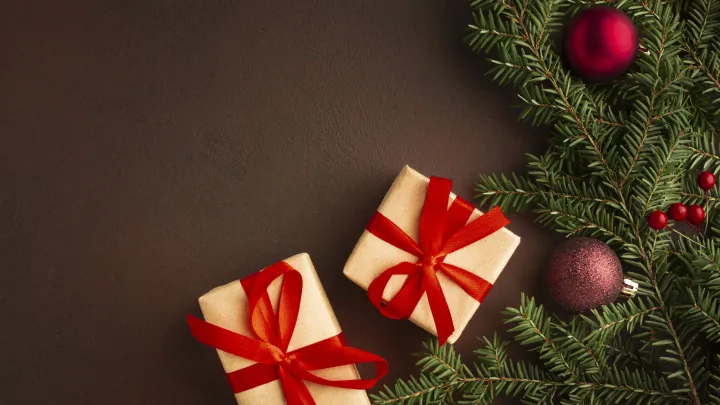 SHOT: Европа не принимает новогодние посылки из России, помечая их как «предметы роскоши»