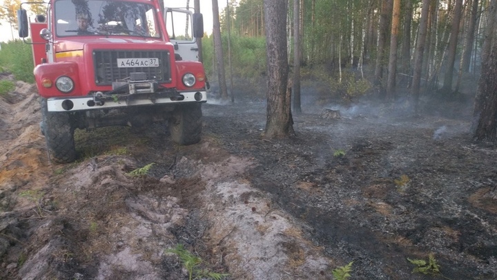 В Ивановской области в 2 километрах от Южи прошел низовой лесной пожар