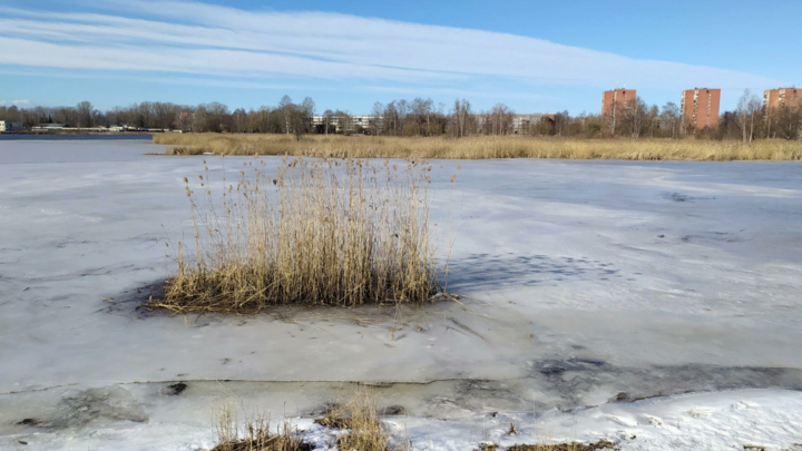 Весна будет нервной для Украины, и дело не в СВО: Тишковец дал трагичный прогноз погоды