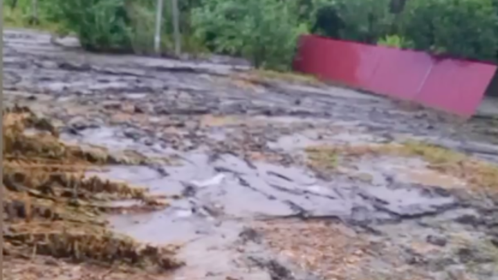 Власти Усть-Лабинского района рассказали о последствиях прошедшего ливня