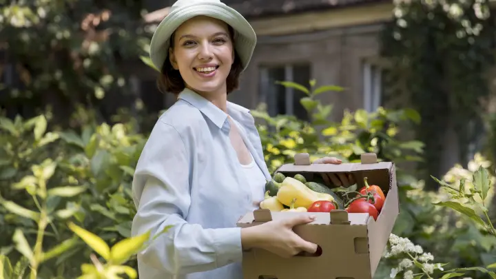 Росреестр изменил правила «дачной амнистии»: адрес от администрации обязателен