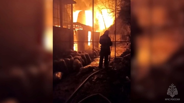 Более 200 экзотических животных и птиц погибло при пожаре в зоопарке Евпатории