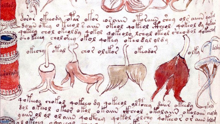 Теорема обезьян: Почему искусственный интеллект сломал зубы о самую загадочную книгу на свете?