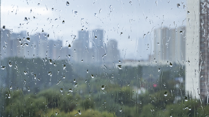 Октябрь начнётся в сентябре: Глава Гидрометцентра поделился прогнозом погоды