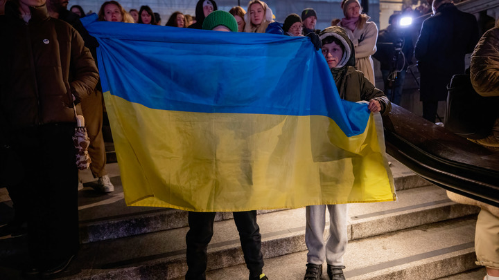 Развернувших на заседании ОБСЕ украинский  флаг активистов попросили убрать тряпку