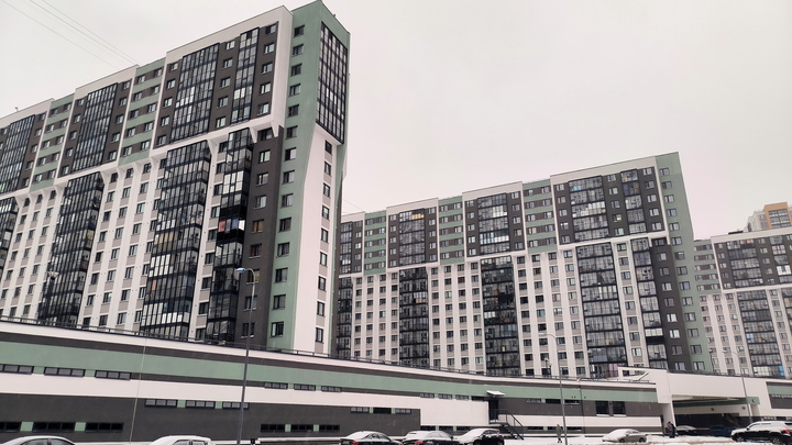 В Подмосковье к 25 декабря выдадут ключи от квартир последним обманутым дольщикам