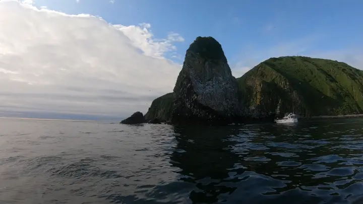 Nature: У берегов Камчатки ученые нашли загадочные организмы-пришельцы