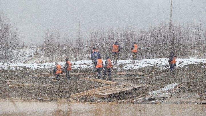 Владельцы ДНТ на острове Огуречный планируют построить мост до берега