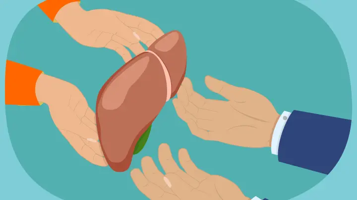 Проблемы с печенью можно рассмотреть в зеркале: 3 признака, после которых пора бежать к врачу Проблемы с печенью можно рассмотреть в зеркале: 3 признака, после которых пора бежать к врачу