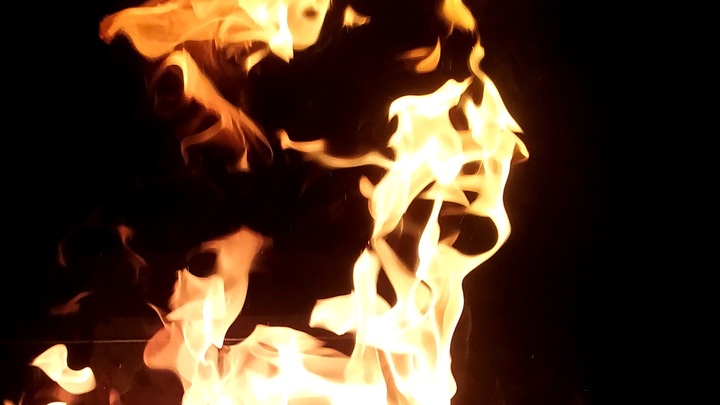 Пожар в конной академии: Всех лошадей из горящей конюшни удалось спасти