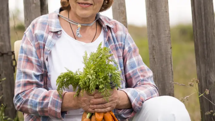 Лунный календарь садовода и огородника на май-июнь 2025 года: когда сажать морковь и свёклу