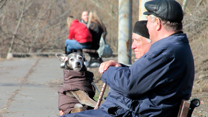 Пронько: Готовится новая пенсионная афера